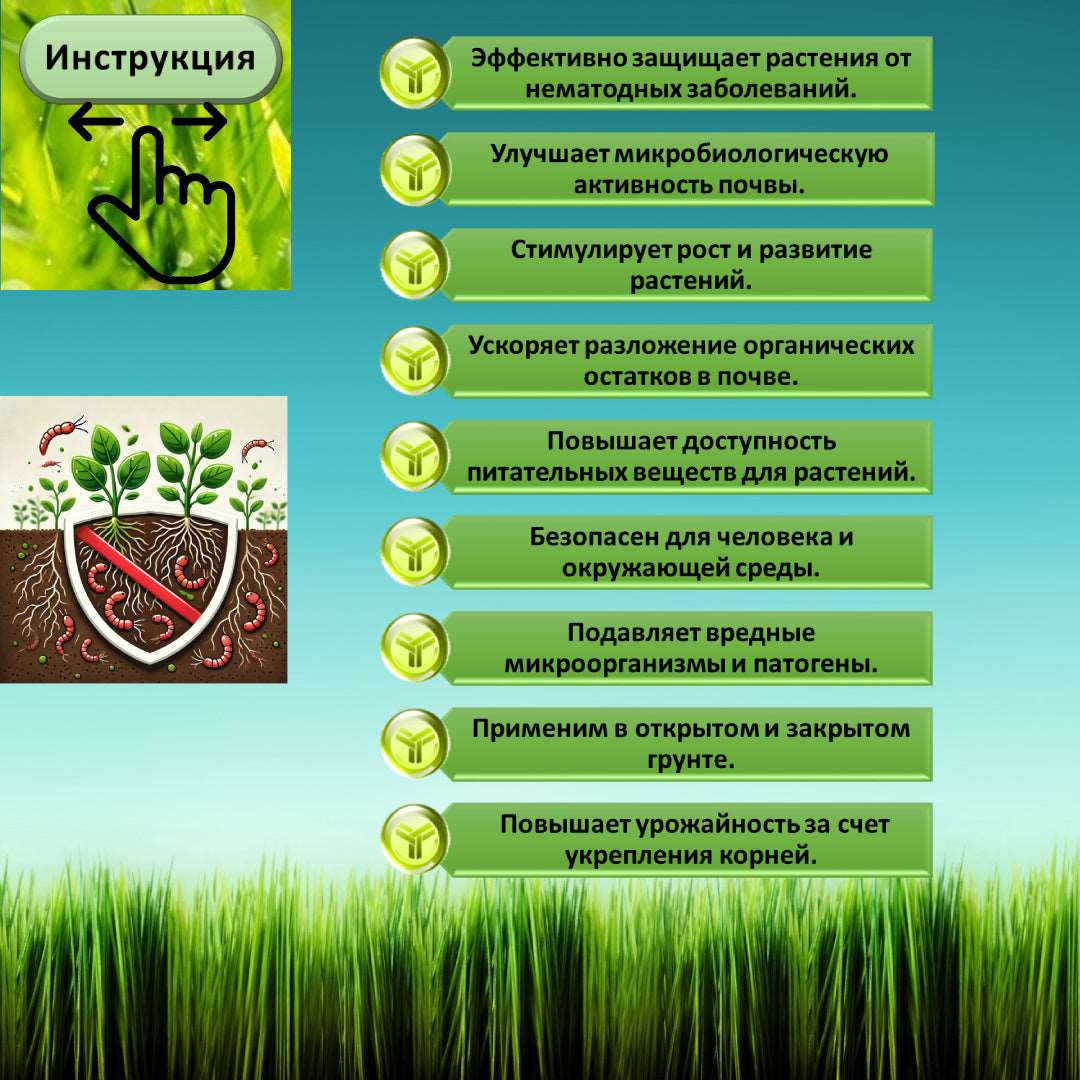 Микорад NEMATO 3.1 – биологическая защита от нематод и вредителей почвы.