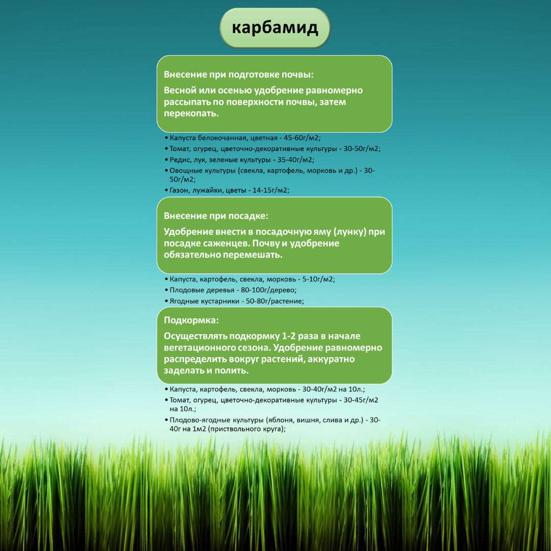 Карбамид (мочевина) 1 кг — универсальное азотное удобрение для повышения урожайности.